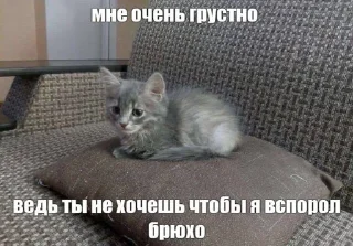 🌟 emoji жиза Telegram sticker 20 of 58