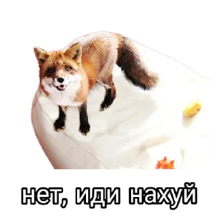 😖 emoji Ася Telegram sticker 13 of 26
