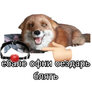 🤐 emoji Ася Telegram sticker 16 of 26