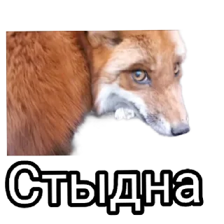 😰 emoji Ася Telegram sticker 20 of 26