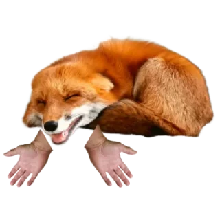 🤗 emoji Ася Telegram sticker 6 of 26