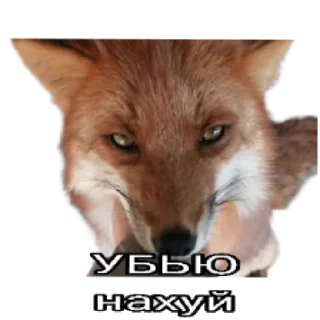 🔨 emoji Ася Telegram sticker 7 of 26