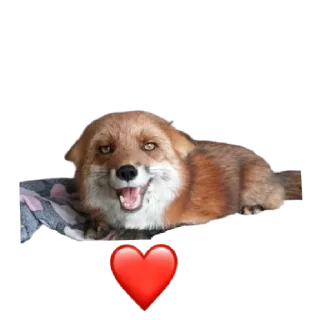 Sticker from Ася