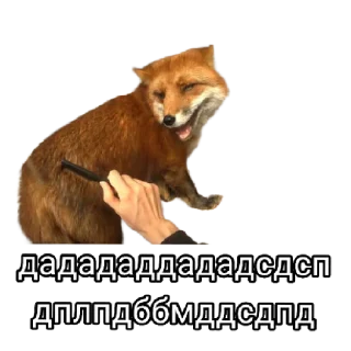 🙂 emoji Ася Telegram sticker 15 of 26