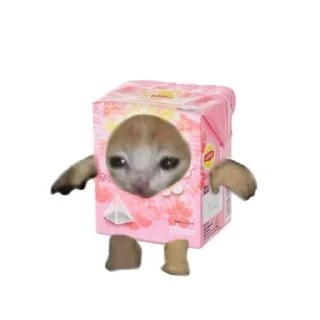 🧃 emoji грустный кот Telegram sticker 24 of 44