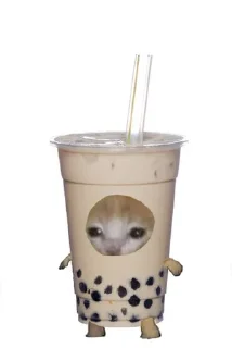 🧋 emoji грустный кот Telegram sticker 12 of 44