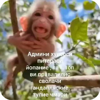 🌟 emoji Мои видио Telegram sticker 17 of 36