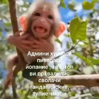 🌟 emoji Мои видио Telegram sticker 10 of 36