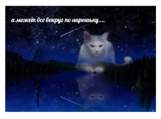 😥 emoji Братва Telegram sticker 20 of 120