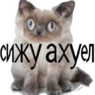😳 emoji приветик от @vkchan Telegram sticker 17 of 23