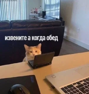 🌟 emoji На случай важных переговоров Telegram sticker 9 of 120