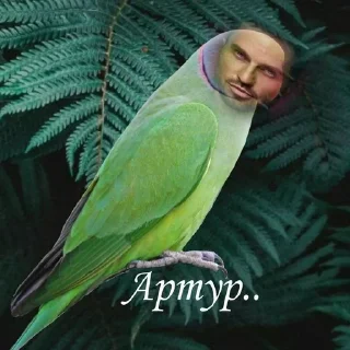 🧚‍♂️ emoji Артур.... Telegram sticker 1 of 23
