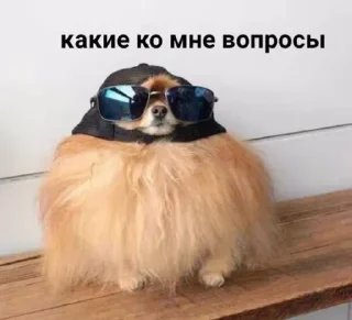 🌟 emoji На случай важных переговоров Telegram sticker 21 of 120