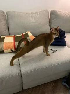 😺 emoji Ириска фотки😺😺😺 Telegram sticker 6 of 57