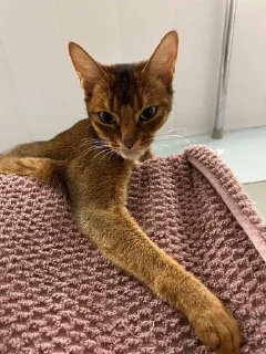 😽 emoji Ириска фотки😺😺😺 Telegram sticker 8 of 57