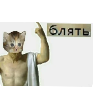 🐱 emoji Дэвид Telegram sticker 18 of 57