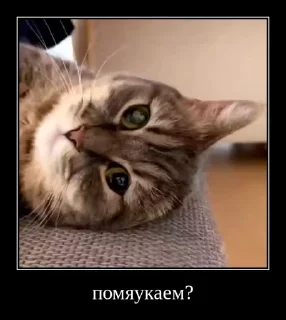 🙃 emoji Комарки @not_a_dude Telegram sticker 16 of 69