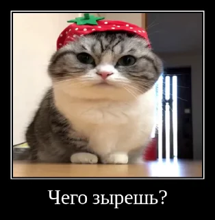 🤖 emoji Комарки pt2 @not_a_dude Telegram sticker 15 of 68