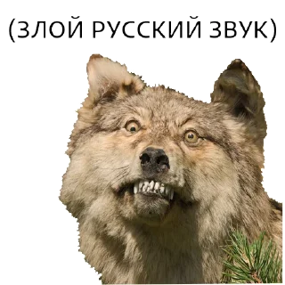 😡 emoji ВОЛК НЕ ВОРК Telegram sticker 10 of 20