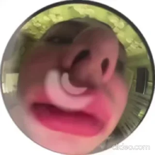 Sticker from ЛЕСЯ ЧУВСТВУЕТ🫦