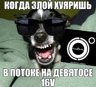 😎 emoji ТК Telegram sticker 19 of 120