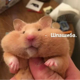 ✌️ emoji Просто стикер Telegram sticker 6 of 120