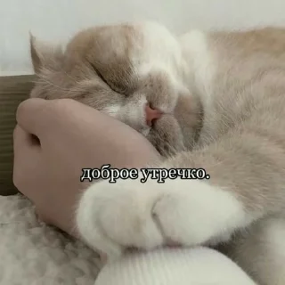 👋 emoji Просто стикер Telegram sticker 15 of 120