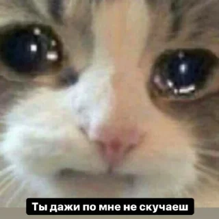 😥 emoji Просто стикер Telegram sticker 7 of 120