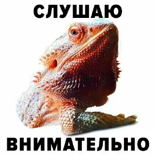 🗿 emoji Просто стикер Telegram sticker 10 of 120