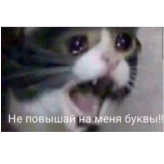 😩 emoji Просто стикер Telegram sticker 12 of 120