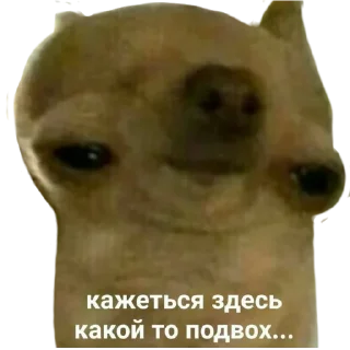 🗿 emoji Просто стикер Telegram sticker 2 of 120