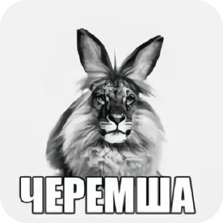 🦁 emoji Ээээээ бля зобыл @GDZcyshe Telegram sticker 14 of 56