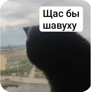 Sticker from Вендюшеа любимая