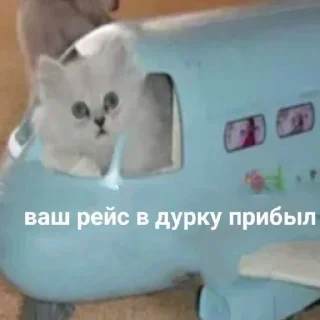 🛬 emoji это конец.. @gifstiki 👍 Telegram sticker 18 of 113