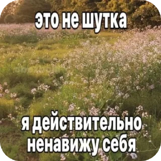 👍 emoji конец. Telegram sticker 16 of 54