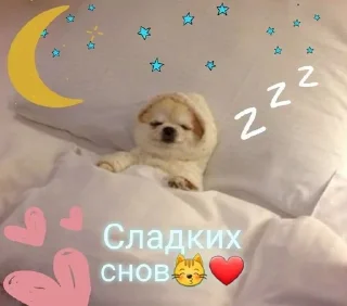 Sticker from Нико