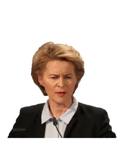 🤨 emoji European Union Telegram sticker 23 of 44