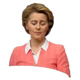 😓 emoji European Union Telegram sticker 18 of 44