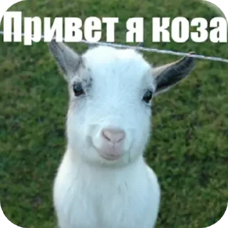 👍 emoji Джул — @fStikBot Telegram sticker 12 of 120