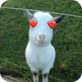😍 emoji Джул — @fStikBot Telegram sticker 14 of 120