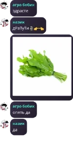 🗿 emoji агро бобик бог Telegram sticker 2 of 98