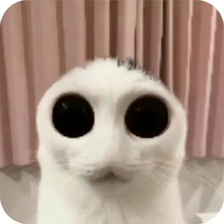 👍 emoji СТАРЫЙ БОГ Telegram sticker 20 of 30
