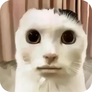 🤲 emoji СТАРЫЙ БОГ Telegram sticker 15 of 30
