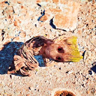 👁 emoji Groot @stikernutui Telegram sticker 9 of 34