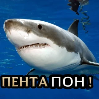 🐟 emoji Пон Telegram sticker 7 of 9