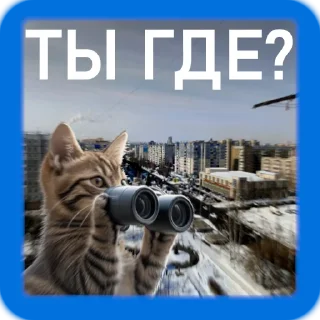 🗺 emoji Подпишись на @mesta22 Telegram sticker 7 of 40