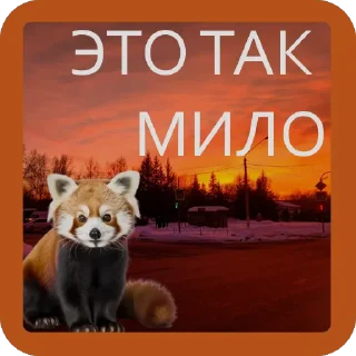 ☺ emoji Подпишись на @mesta22 Telegram sticker 14 of 40