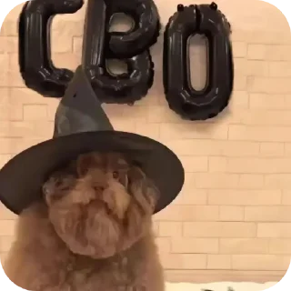 🎩 emoji Пак от челика @mentiki Telegram sticker 17 of 100