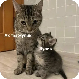 🐱 emoji Пак от челика @mentiki Telegram sticker 8 of 100