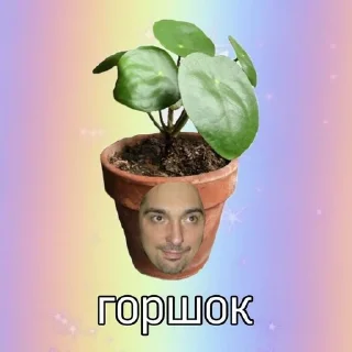 😃 emoji Горшок с цветами Telegram sticker 23 of 30